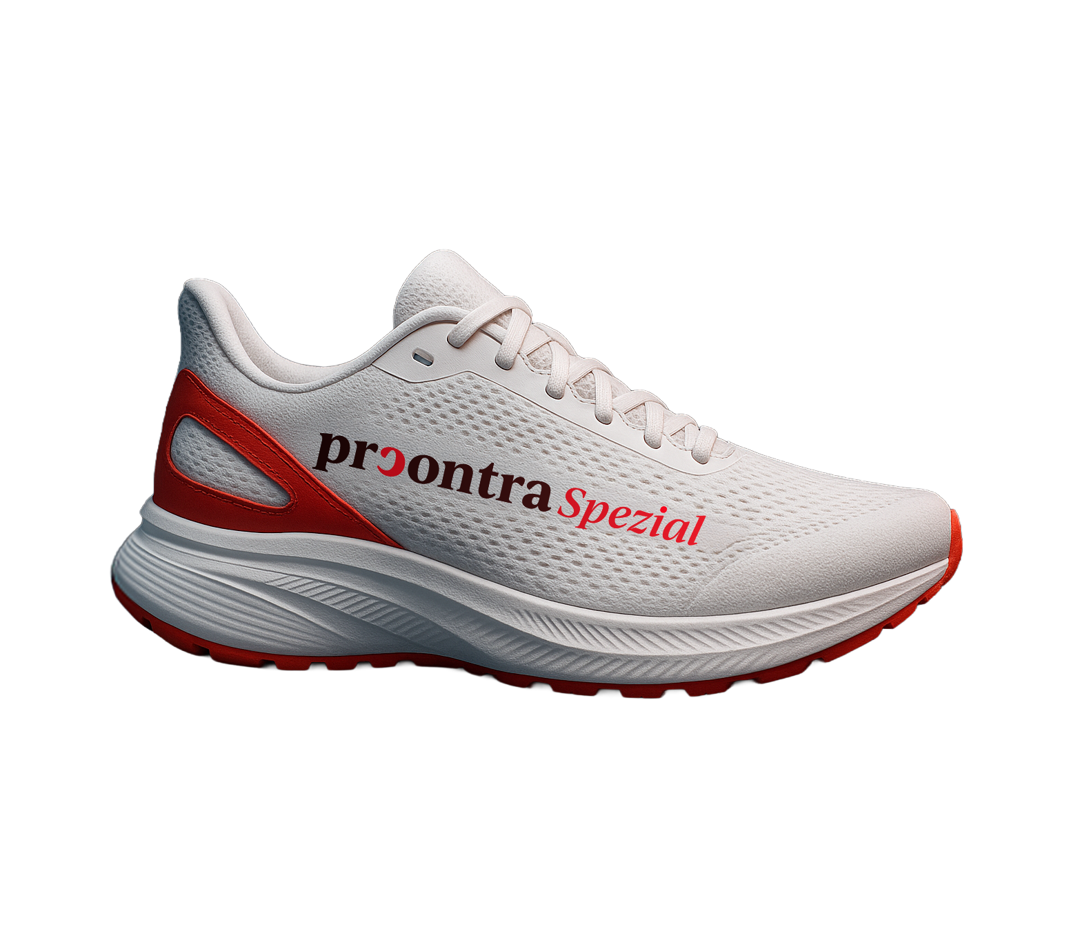 pcshoe-2shoe