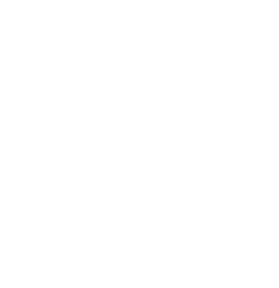 logo-profino-gross